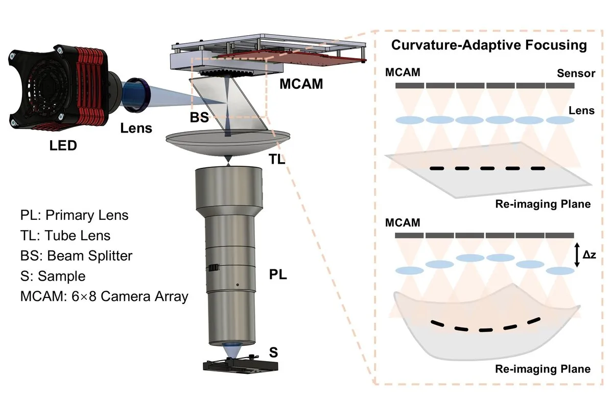 Optical layout of the curvature-adaptive multi-camera array microscope