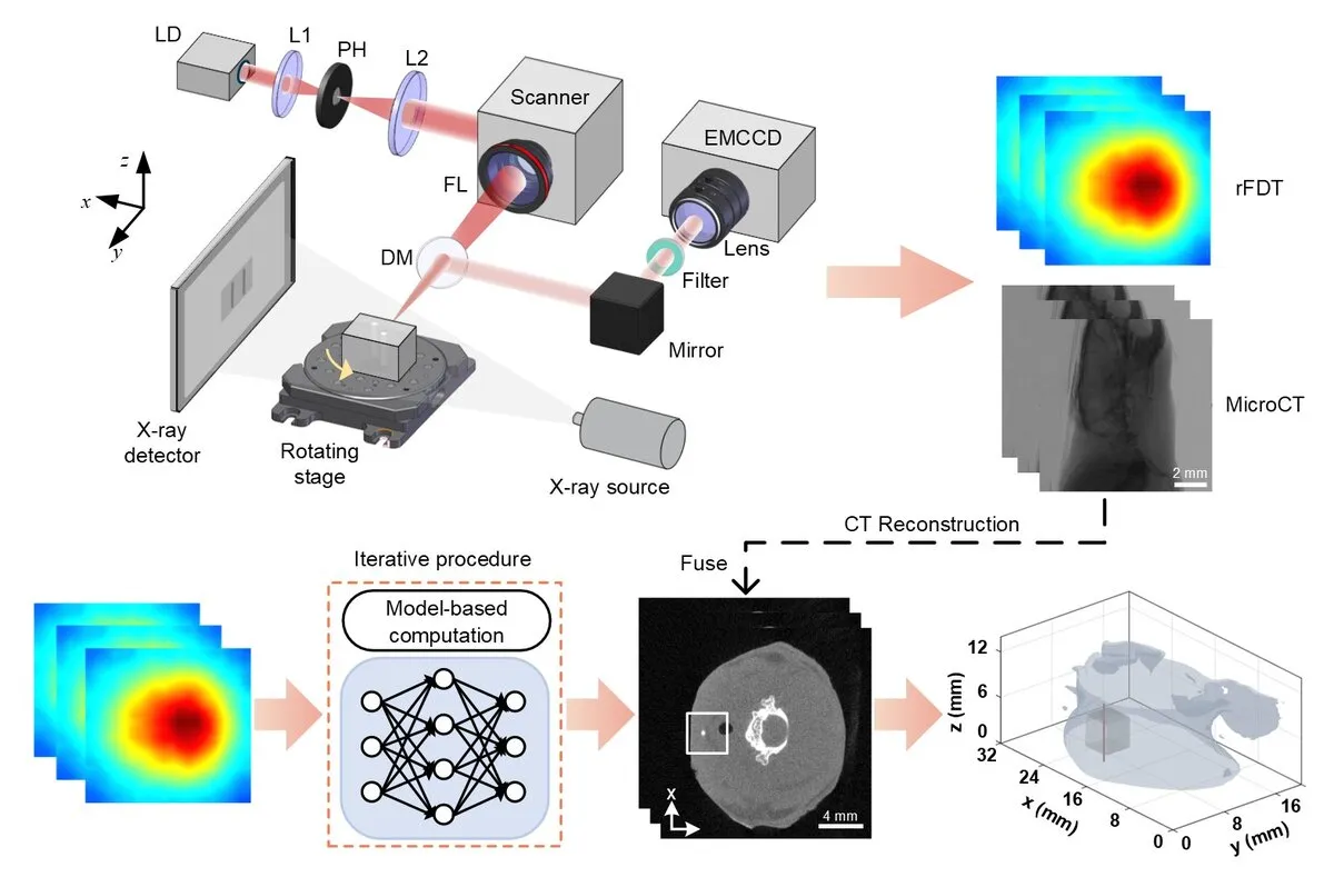 Reflection-geometry fluorescence diffusion tomography system and reconstruction pipeline