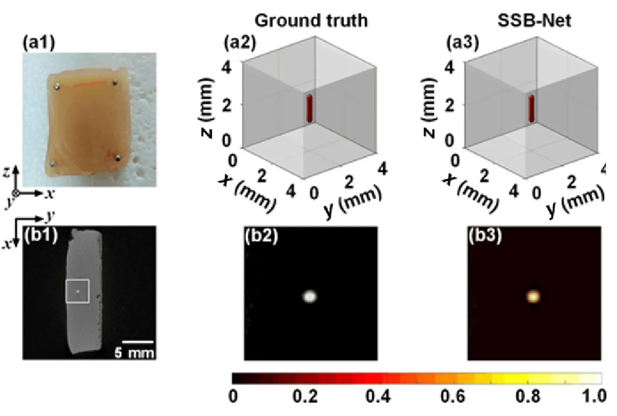 Phantom, ground truth, and SSB-Net reconstruction for fluorescence molecular tomography