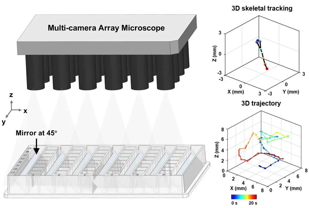 Multi-camera array microscope with 3D skeletal tracking and trajectories of zebrafish larvae