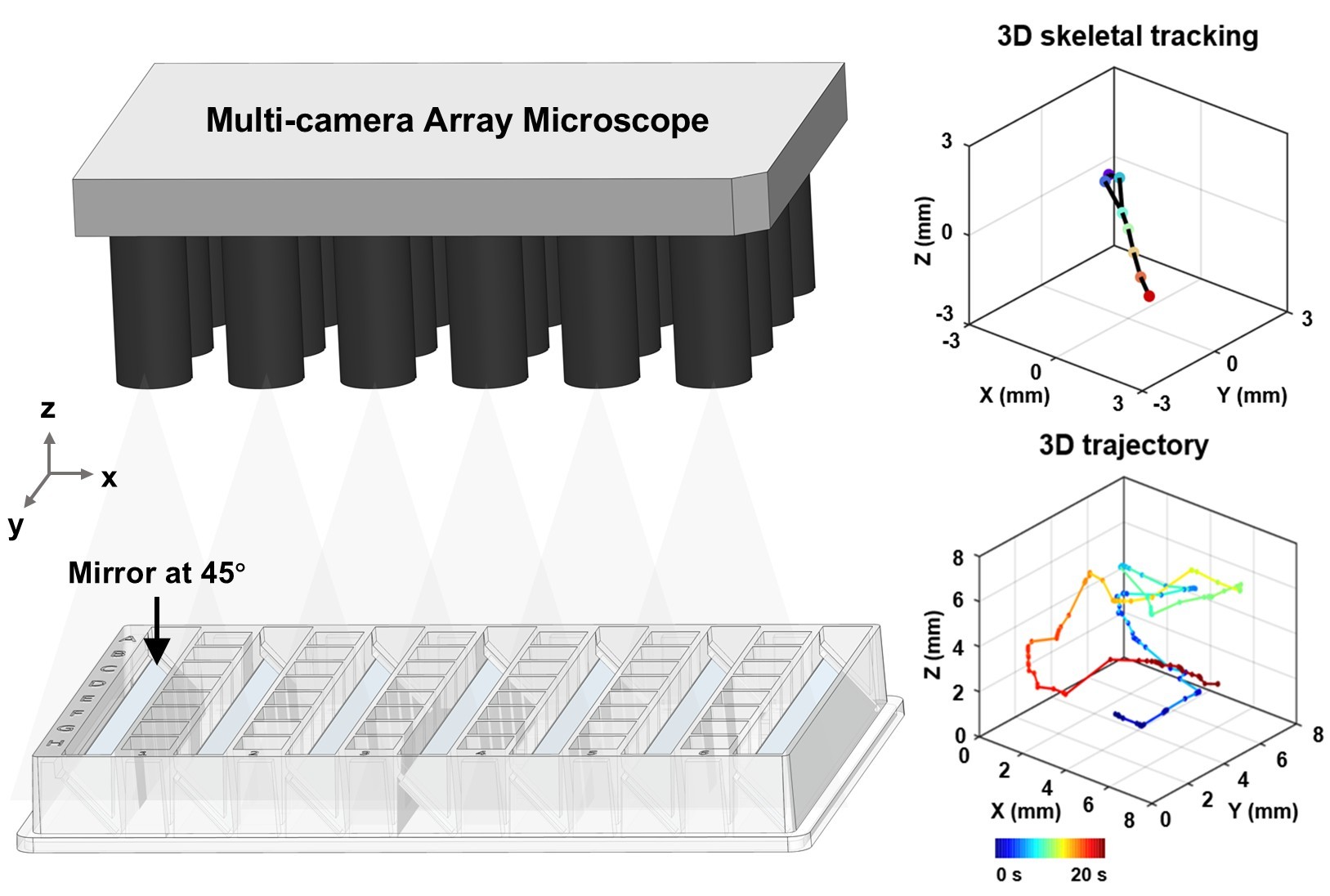 Zebrafish 3D Analysis